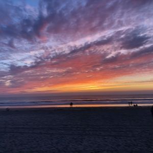 Meet your Posher, Carol